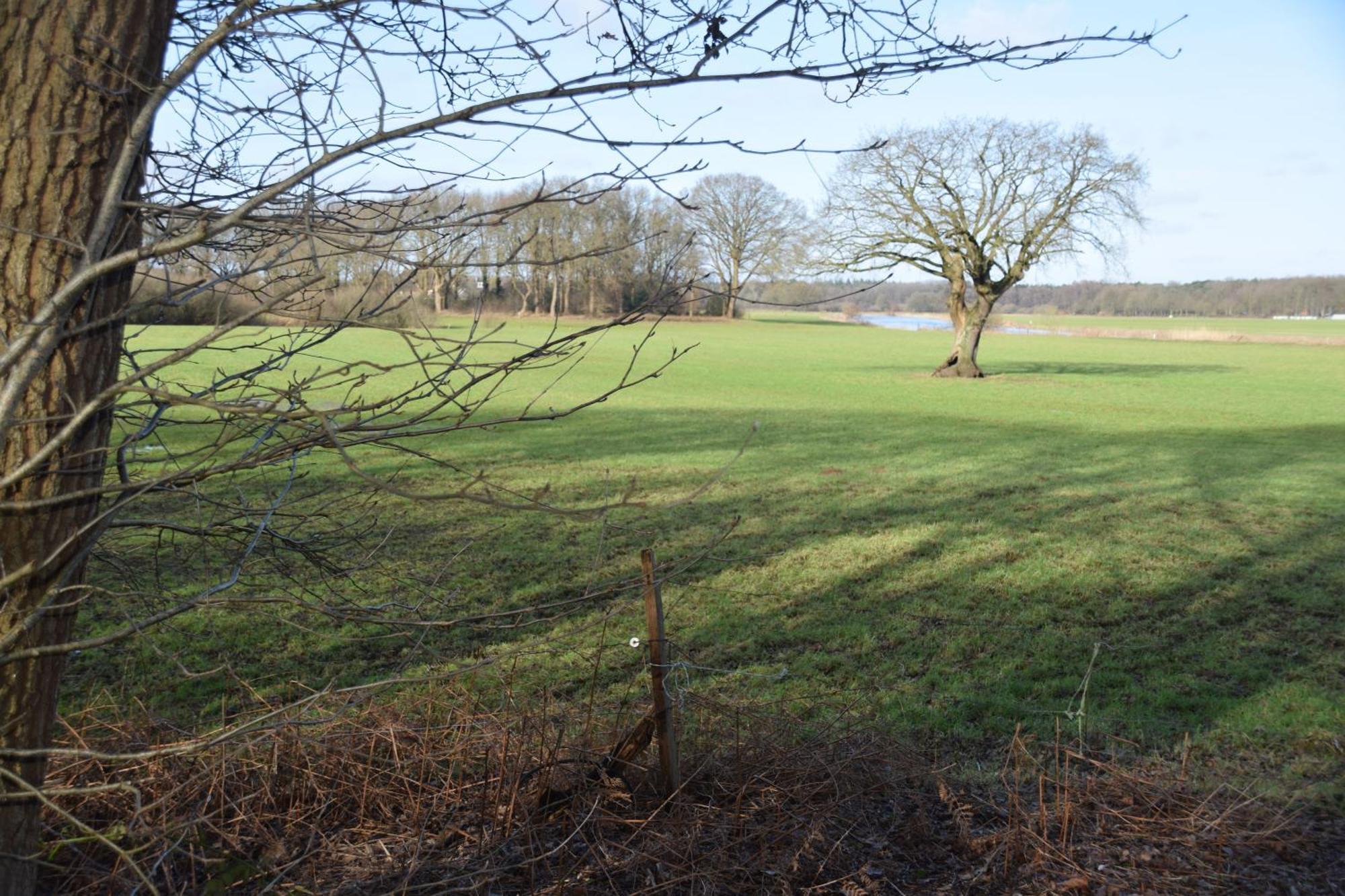 Vakantiehuis De Veldhoen Vrijgelegen Nabij De Rivier De Vecht Beerze Exterior foto