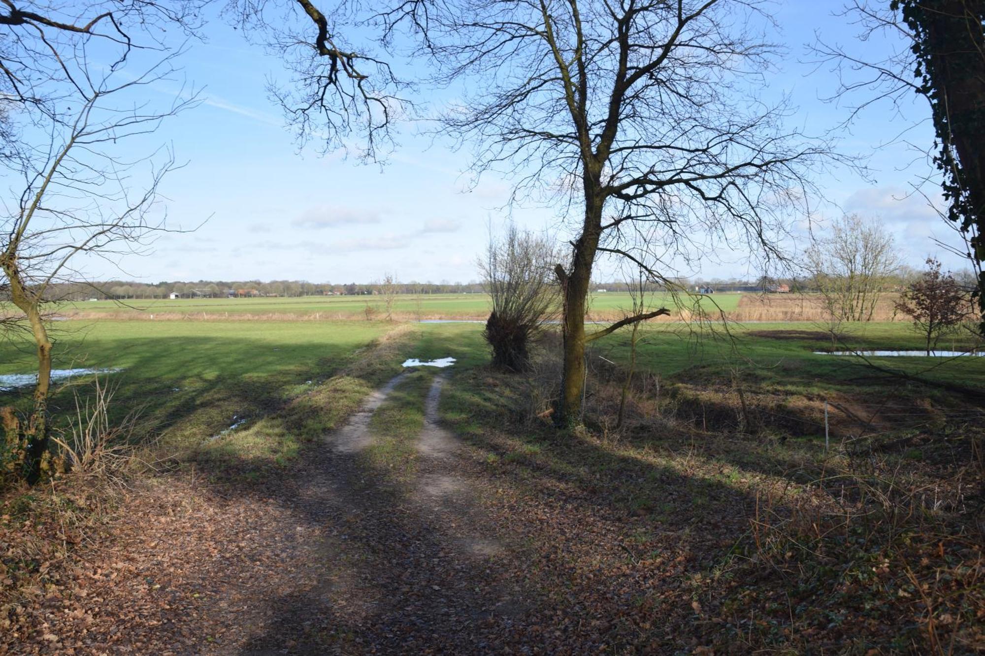 Vakantiehuis De Veldhoen Vrijgelegen Nabij De Rivier De Vecht Beerze Exterior foto